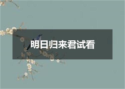 明日归来君试看