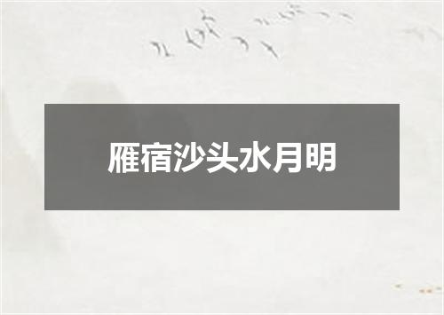 雁宿沙头水月明