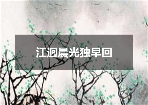 江迥晨光独早回