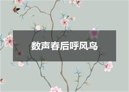 数声春后呼风鸟