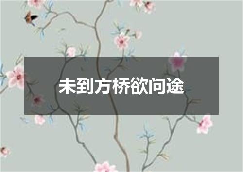 未到方桥欲问途