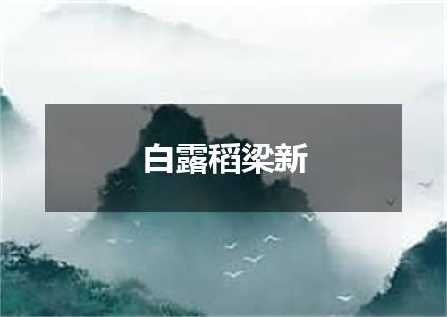 白露稻梁新