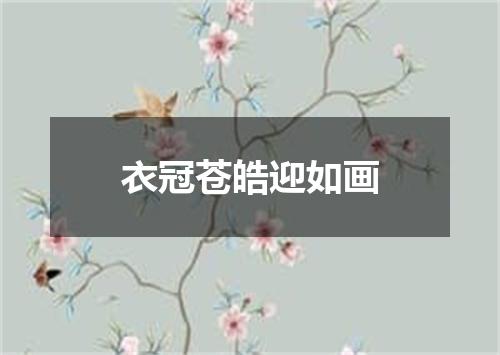 衣冠苍皓迎如画