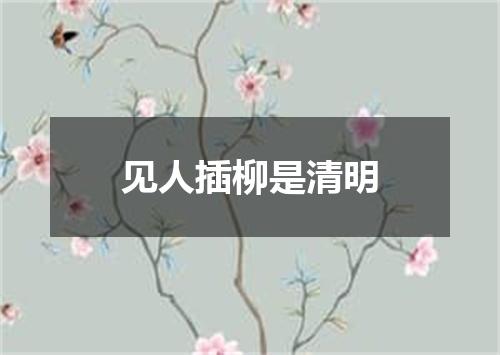 见人插柳是清明