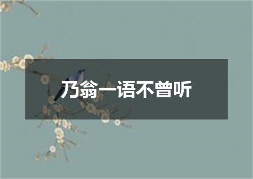 乃翁一语不曾听