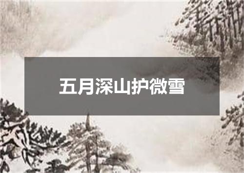 五月深山护微雪