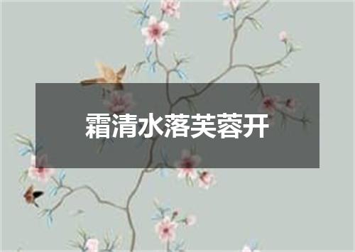 霜清水落芙蓉开