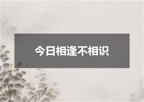 今日相逢不相识