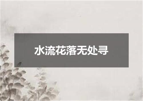 水流花落无处寻