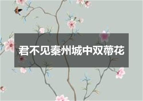 君不见秦州城中双蔕花