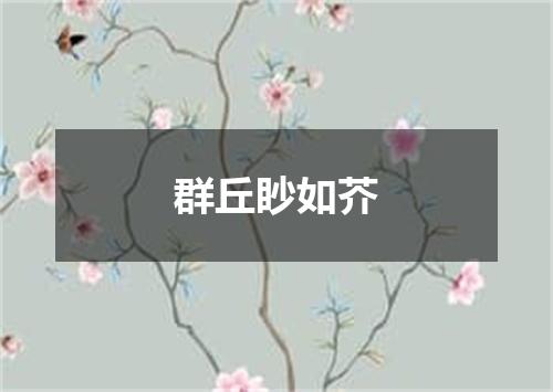 群丘眇如芥