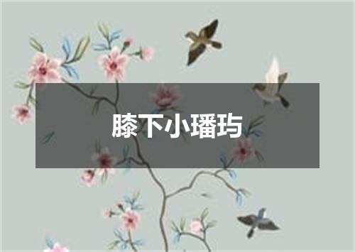 膝下小璠玙