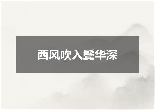 西风吹入鬓华深