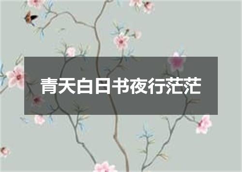 青天白日书夜行茫茫