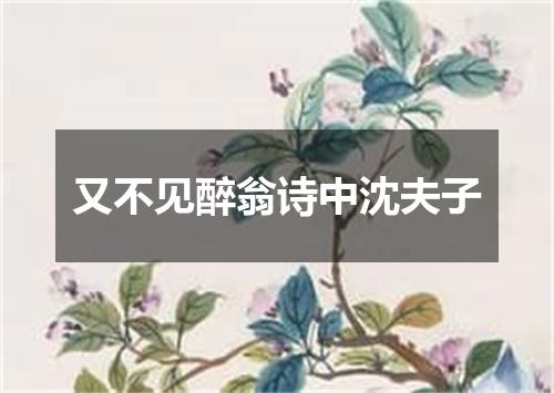 又不见醉翁诗中沈夫子