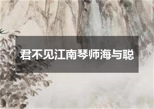 君不见江南琴师海与聪