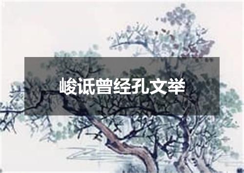 峻诋曾经孔文举