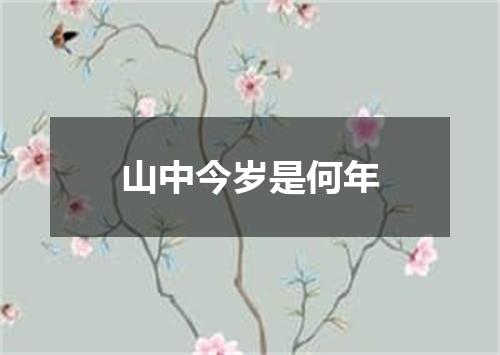 山中今岁是何年