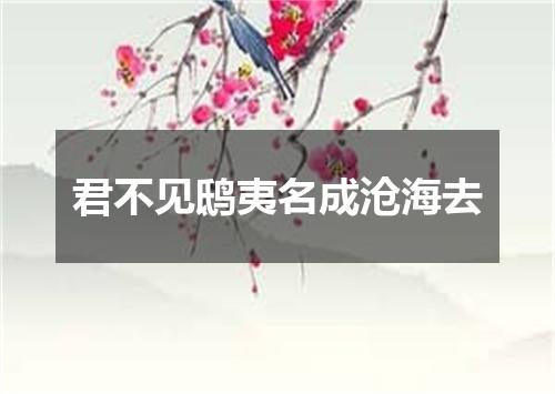 君不见鸱夷名成沧海去