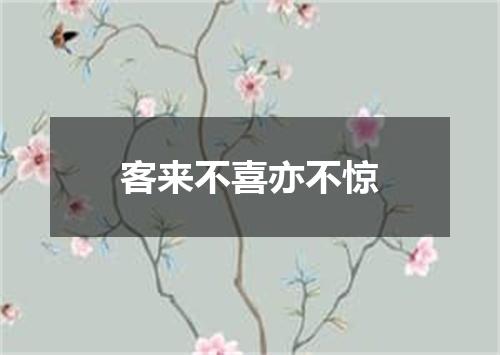 客来不喜亦不惊