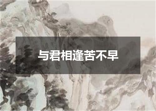 与君相逢苦不早