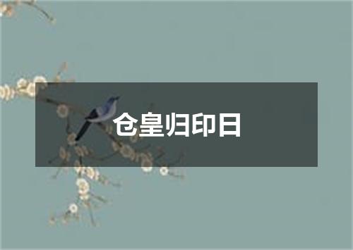 仓皇归印日