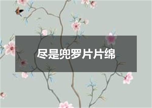 尽是兜罗片片绵