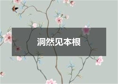 洞然见本根