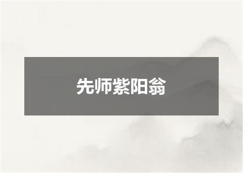 先师紫阳翁