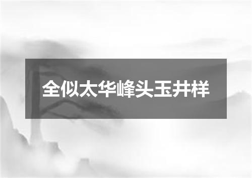 全似太华峰头玉井样