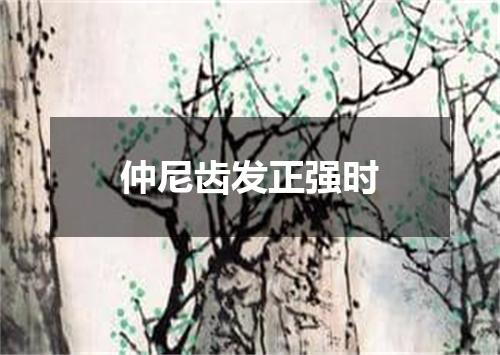 仲尼齿发正强时