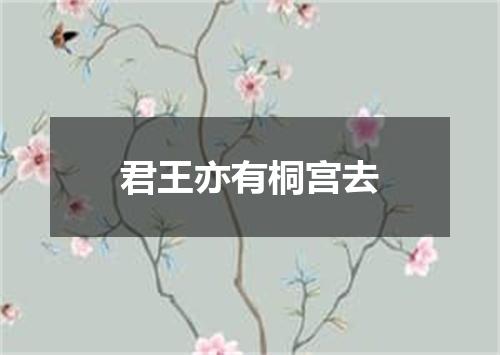 君王亦有桐宫去