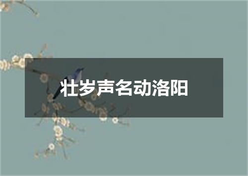 壮岁声名动洛阳