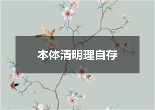 本体清明理自存