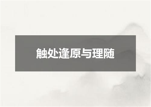 触处逢原与理随