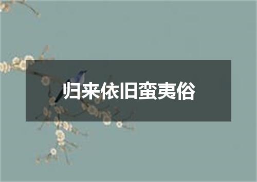 归来依旧蛮夷俗