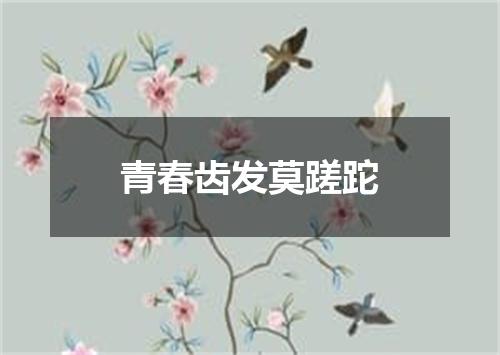 青春齿发莫蹉跎