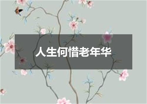 人生何惜老年华