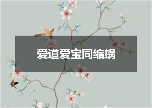 爱道爱宝同缩蜗