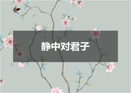 静中对君子