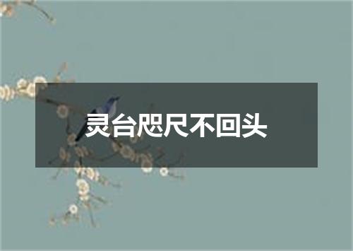 灵台咫尺不回头