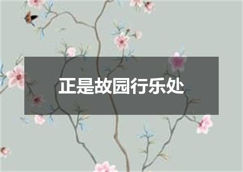 正是故园行乐处