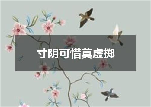 寸阴可惜莫虚掷