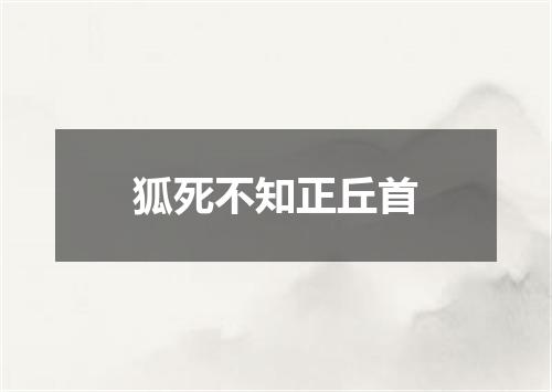 狐死不知正丘首