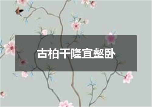 古柏干隆宜壑卧