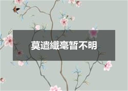 莫遣纖毫暂不明