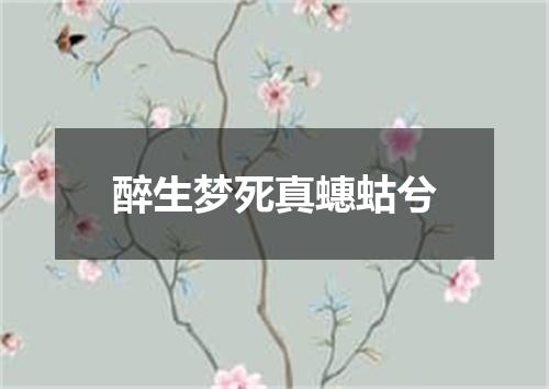 醉生梦死真蟪蛄兮