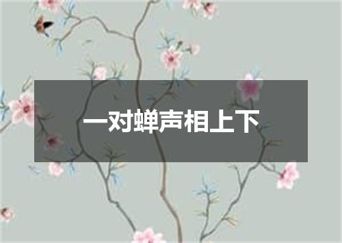 一对蝉声相上下