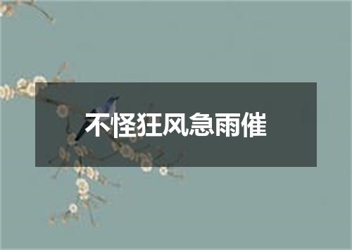 不怪狂风急雨催