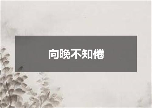 向晚不知倦